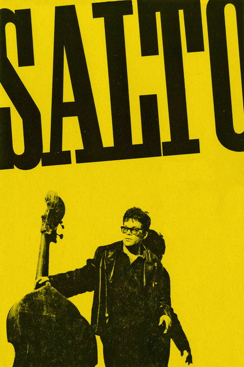 Salto poster