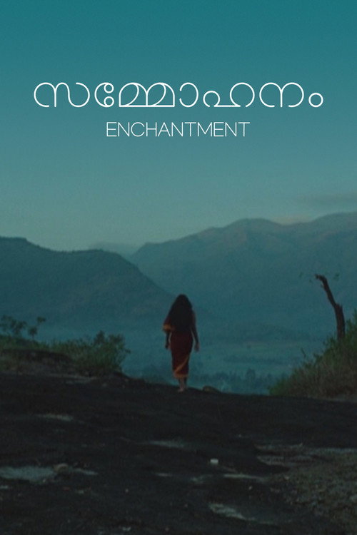 Sammohanam poster