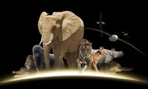 Saving Planet Earth poster