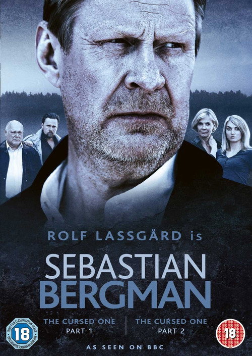 Sebastian Bergman poster