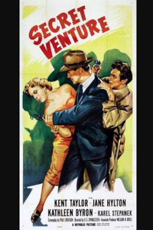 Secret Venture poster