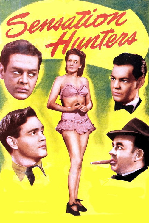 Sensation Hunters poster