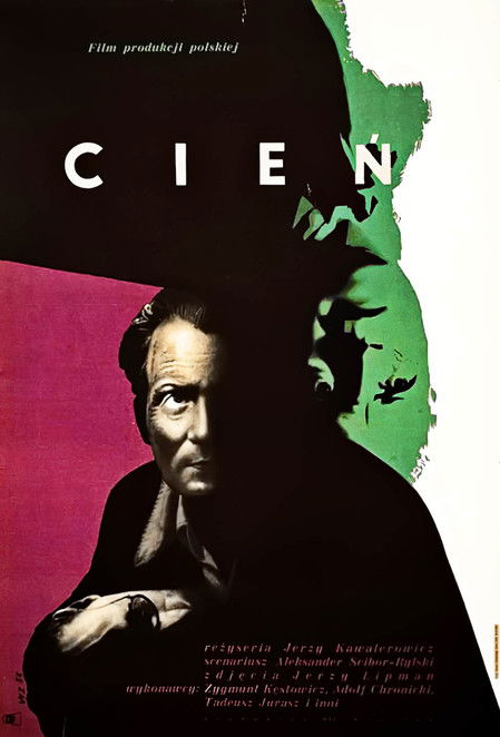 Shadow poster