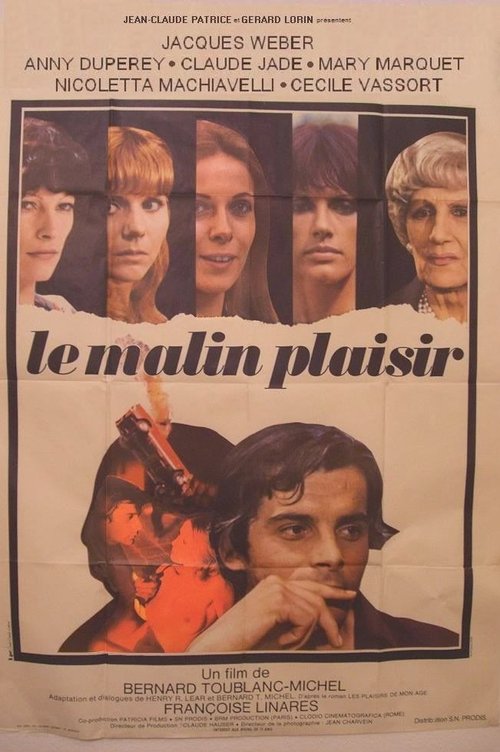 Malicious Pleasure poster