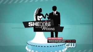 Shedding for the Wedding poster