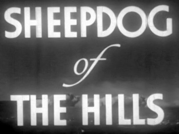 Sheepdog of the Hills poster