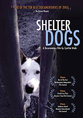 Shelter Dogs poster