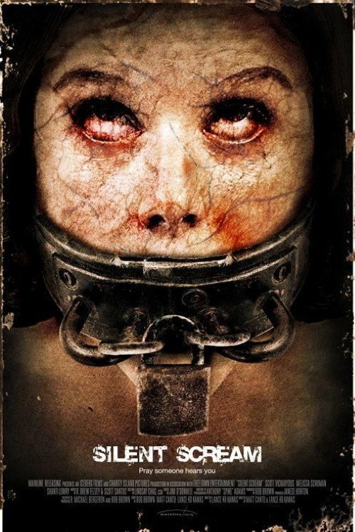 Silent Scream poster