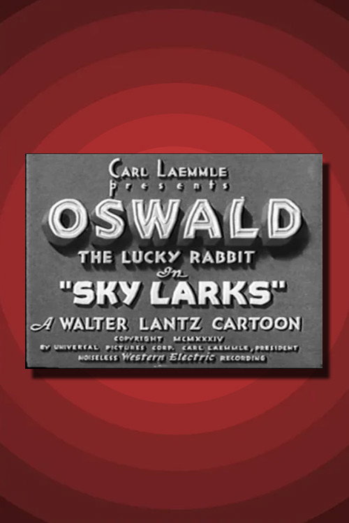 Sky Larks poster