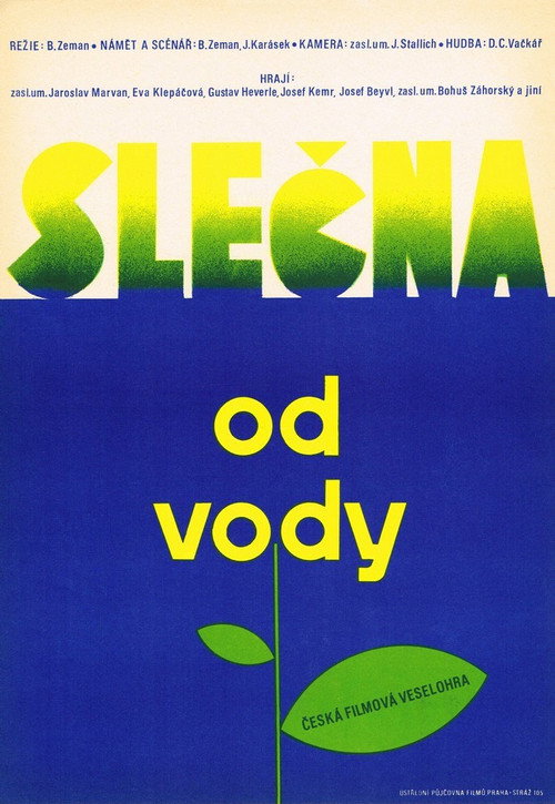 Slečna od vody poster