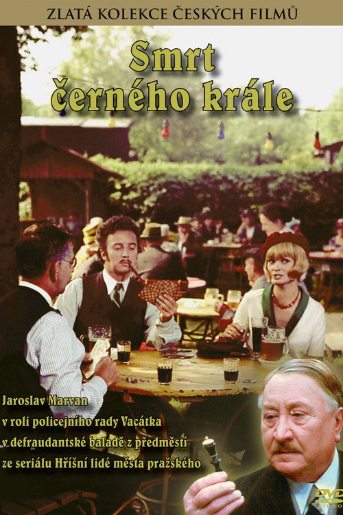 Smrt černého krále poster