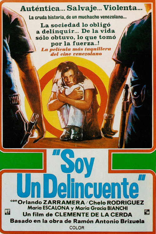 Soy un delincuente poster