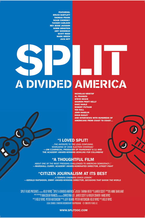 Split: A Divided America poster