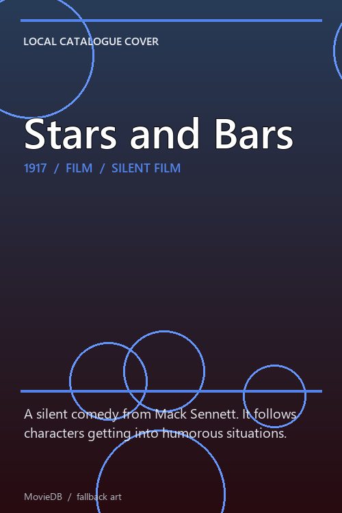 Stars and Bars poster