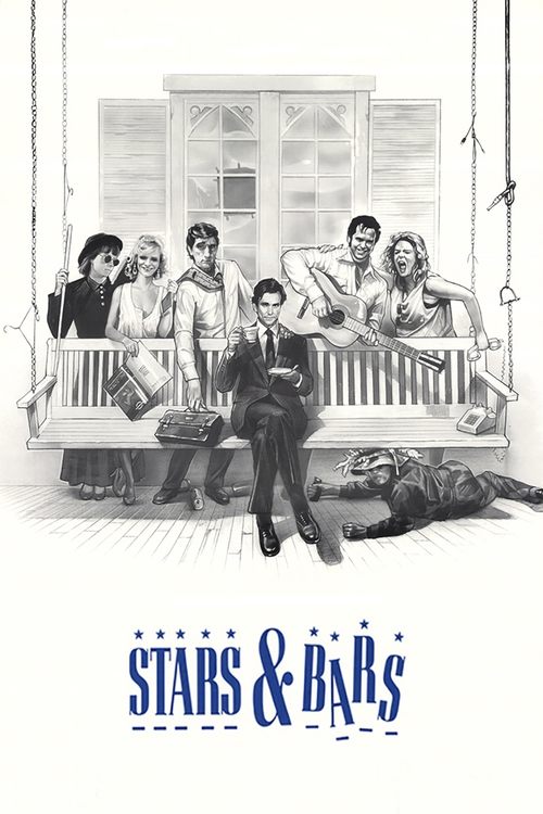 Stars and Bars poster