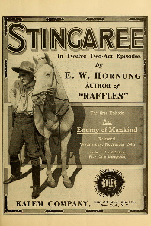 Stingaree poster