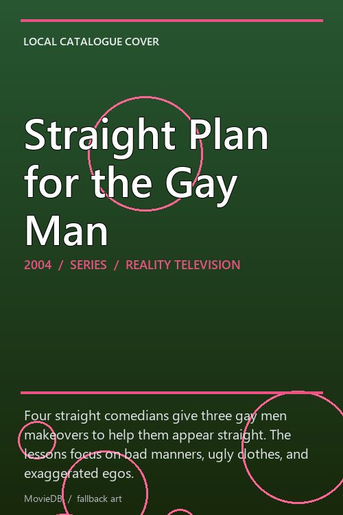 Straight Plan for the Gay Man poster