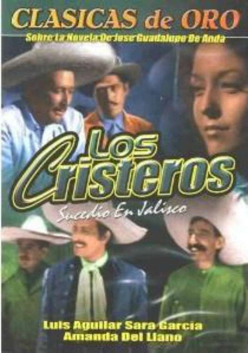 Sucedió en Jalisco poster