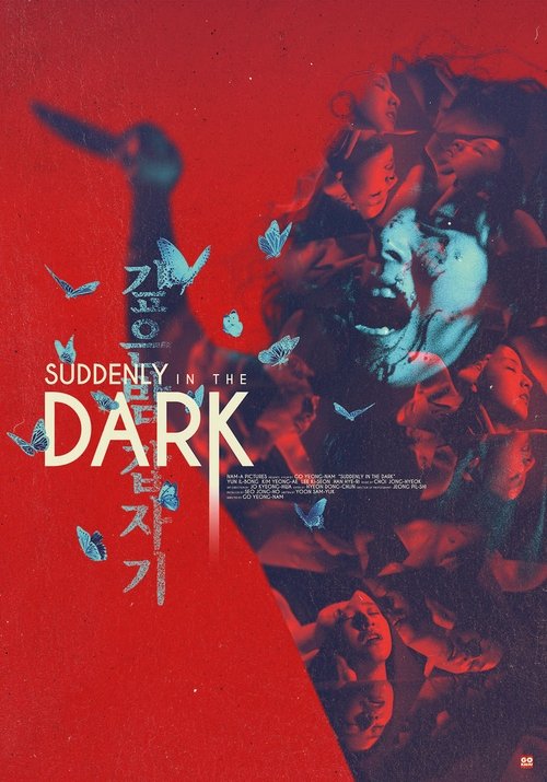 Suddenly at Midnight poster
