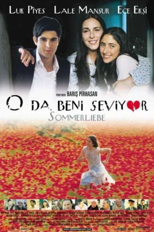 Summer Love poster