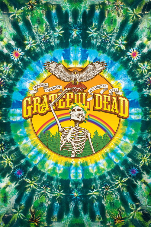 Sunshine Daydream poster
