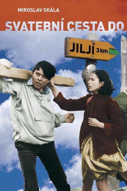 Svatební cesta do Jiljí poster