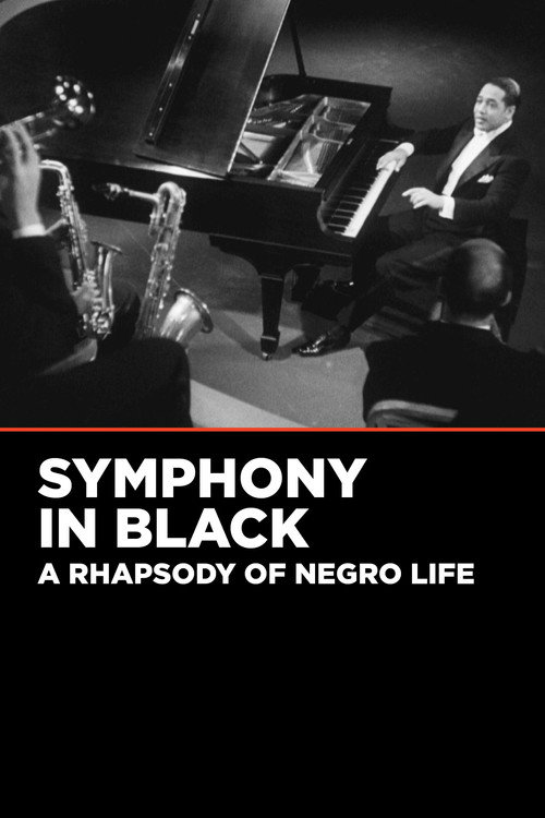 Symphony in Black poster