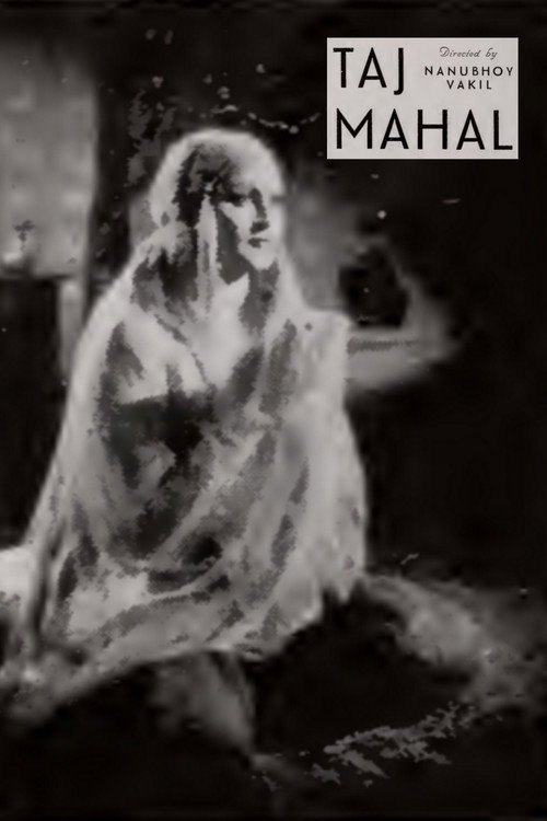 Taj Mahal poster