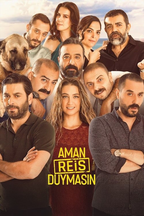 Aman Reis Duymasın poster