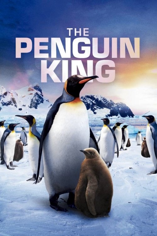 The Penguin King 3D poster