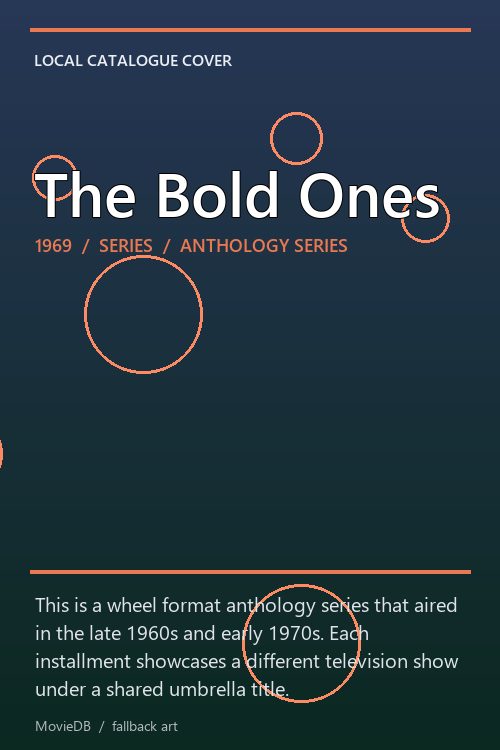 The Bold Ones poster
