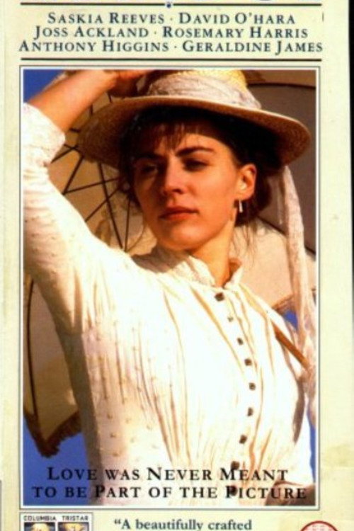 The Bridge poster