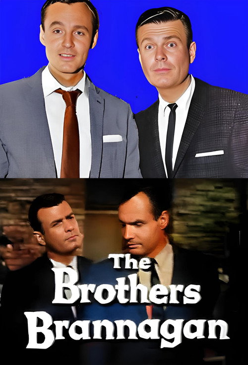 The Brothers Brannagan poster