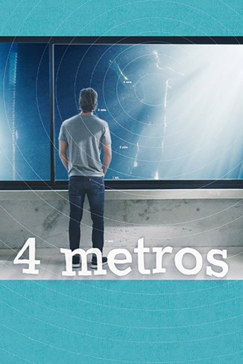 4 Metros poster