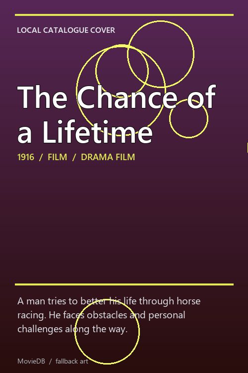 The Chance of a Lifetime poster