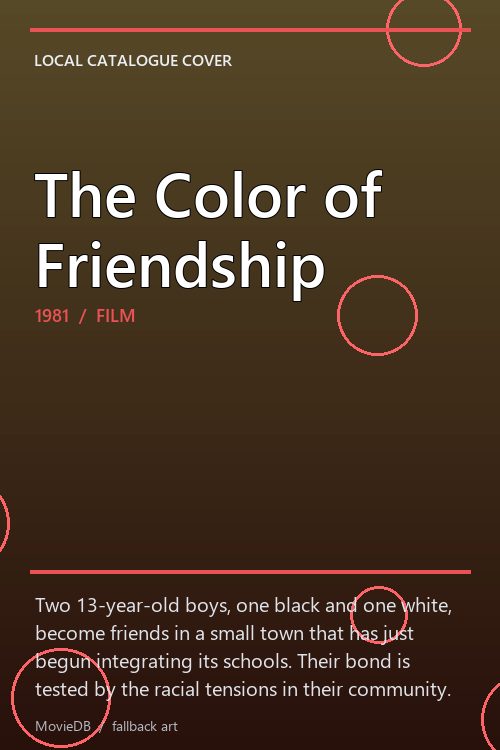 The Color of Friendship poster