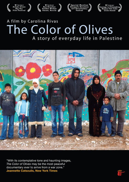 The Color of Olives poster