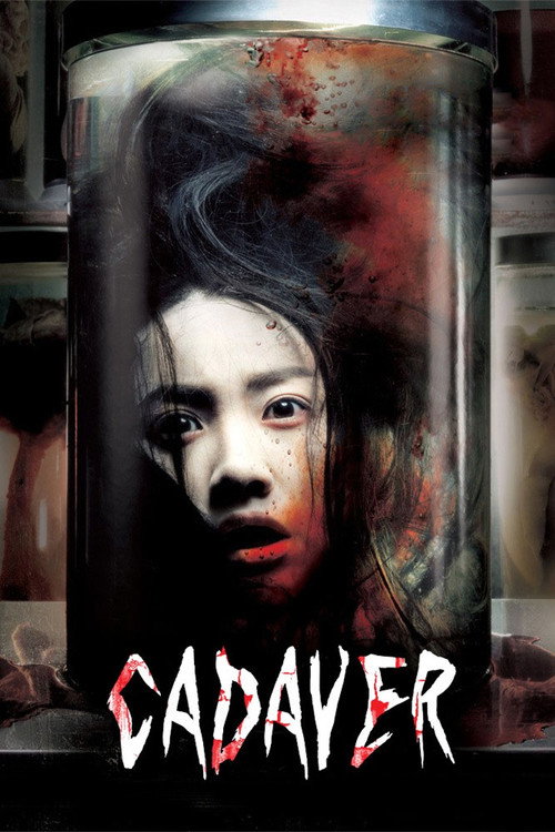 The Cut poster