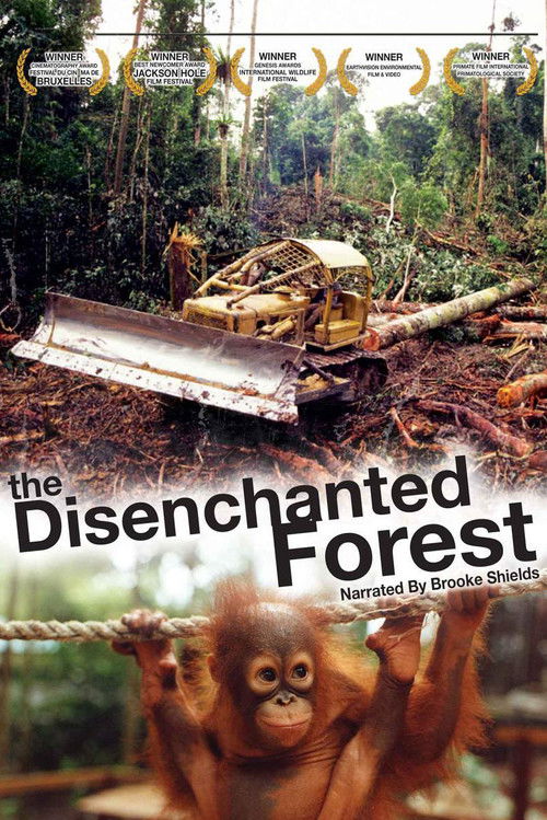 The Disenchanted Forest poster
