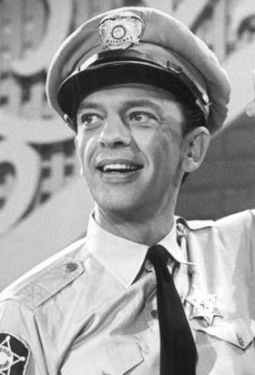 The Don Knotts Show poster