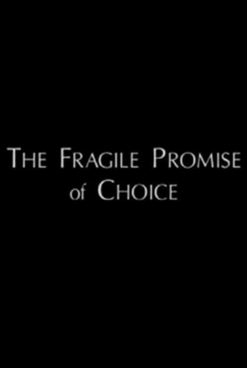 The Fragile Promise of Choice: Abortion in the United States Today poster