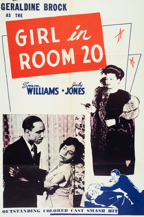 The Girl in Room 20 poster