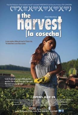 The Harvest poster