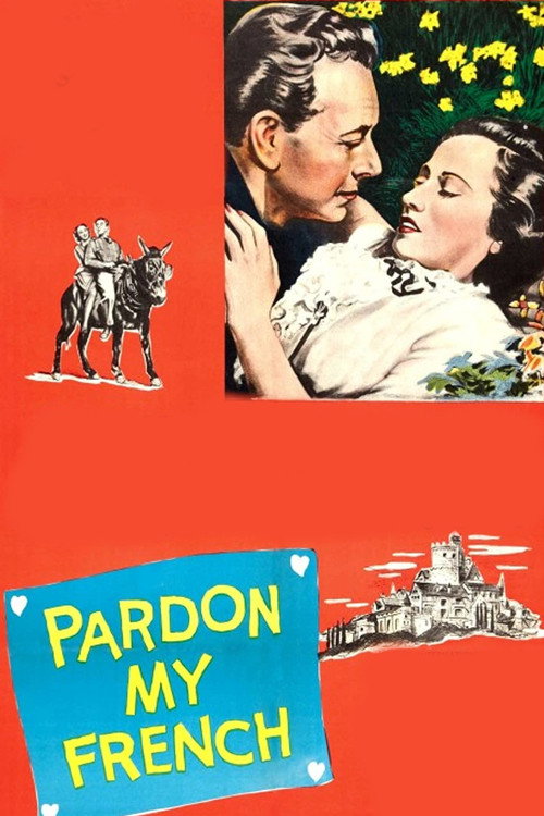 The Lady from Boston poster