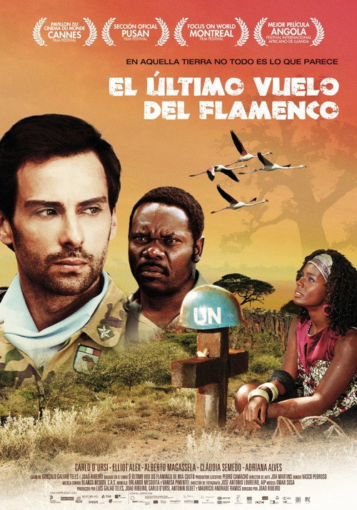 The Last Flight of the Flamingo poster