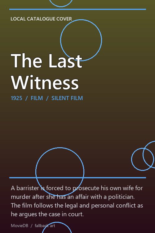 The Last Witness poster