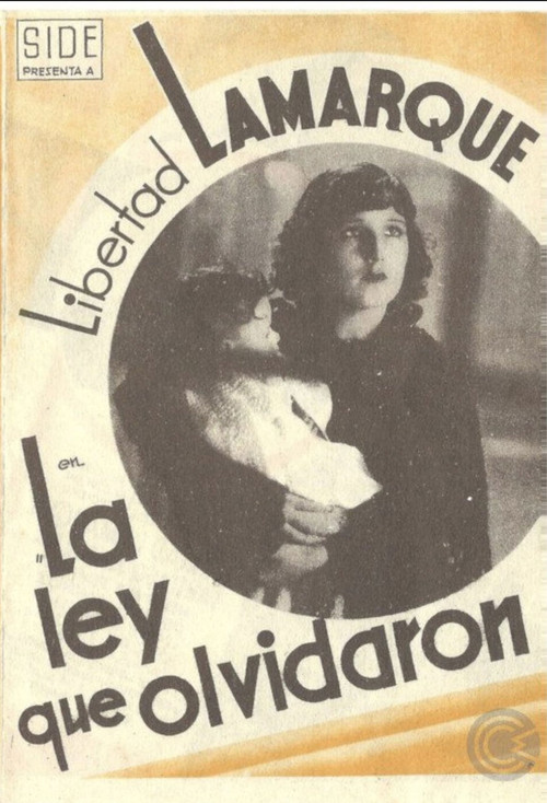 The Law They Forgot poster