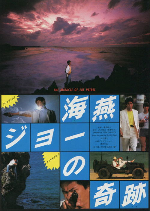 The Miracle of Joe Petrel poster