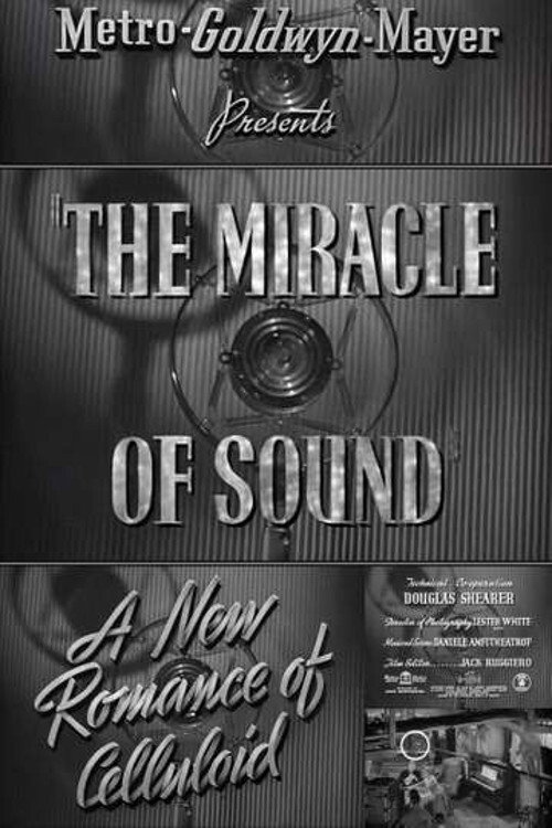 The Miracle of Sound poster