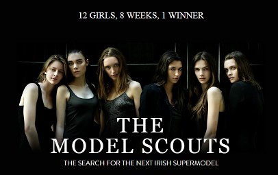 The Model Agent poster